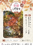 R5Ō삵vol4