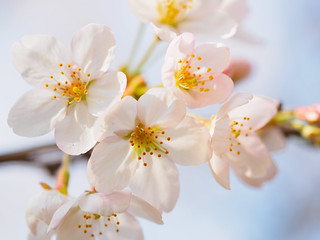 ご寄付のお願いのアイキャッチ画像