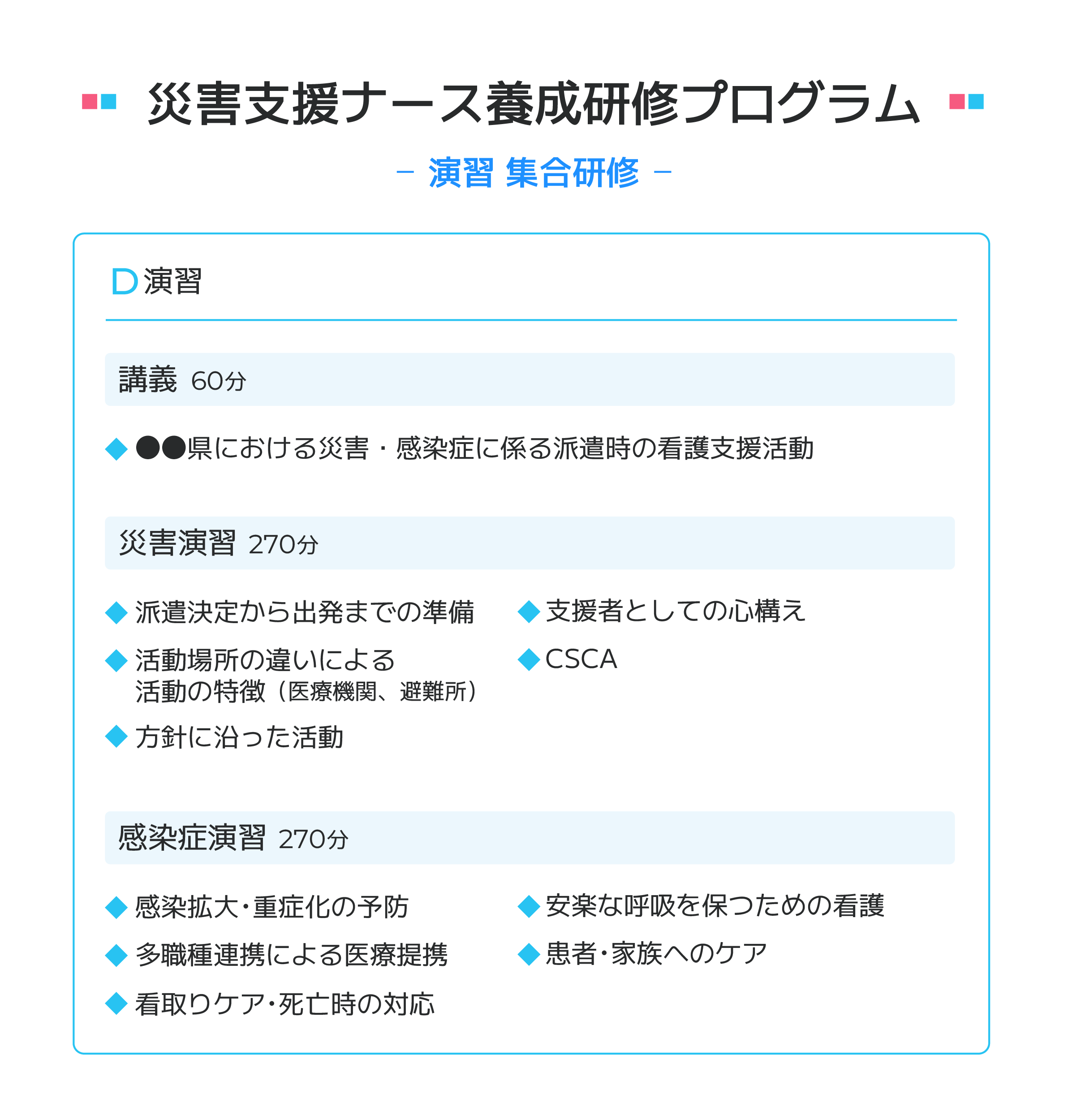 災害支援ナース養成研修プログラム(演習/集合研修)