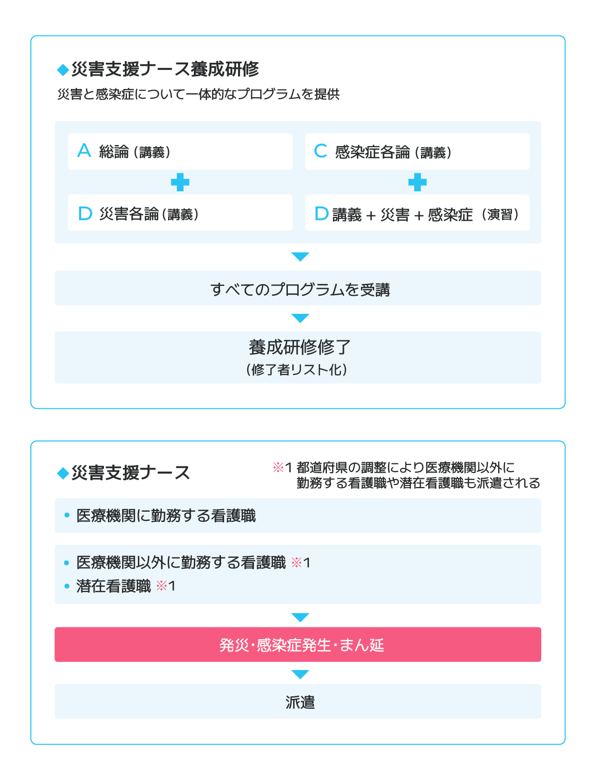 災害支援ナース養成研修