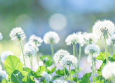 会員の福利厚生のアイキャッチ画像